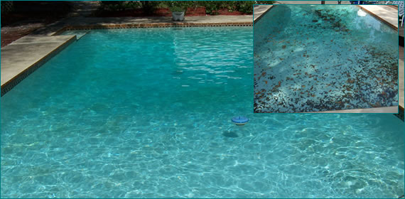 Pool Service Winter Springs, Fl